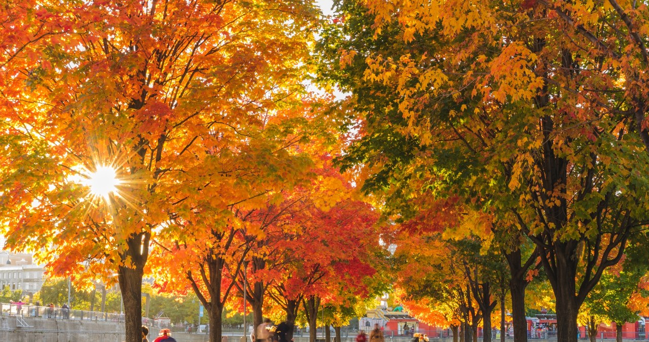 Pogodowy zwrot już od wtorku. Co nas czeka?
