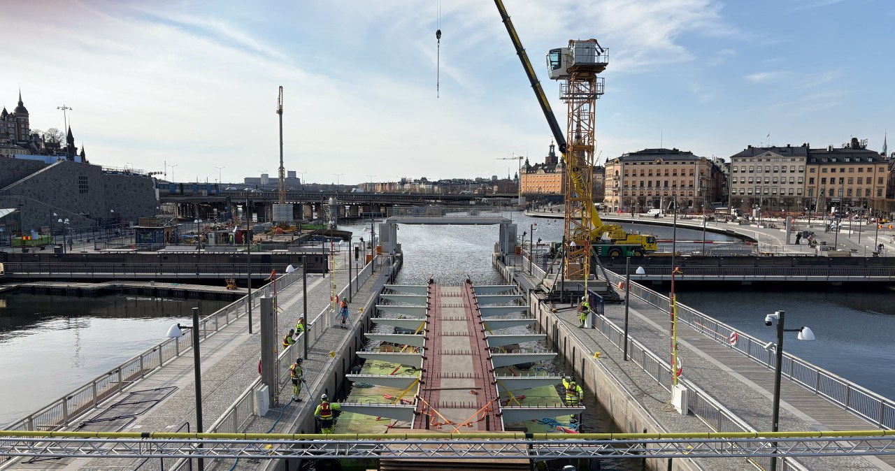 Polska żmija w sercu Sztokholmu. Będzie nową atrakcją
