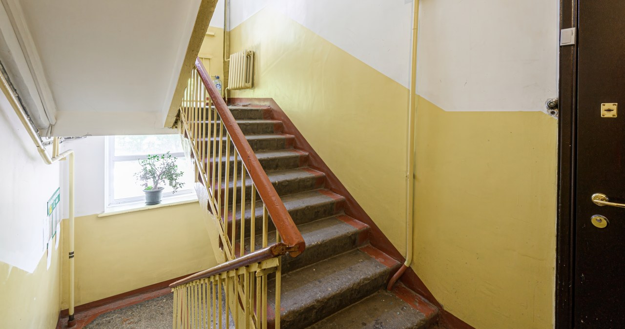 Śledztwo ws. Mirelli K., której nie widziano od lat. Nowe informacje