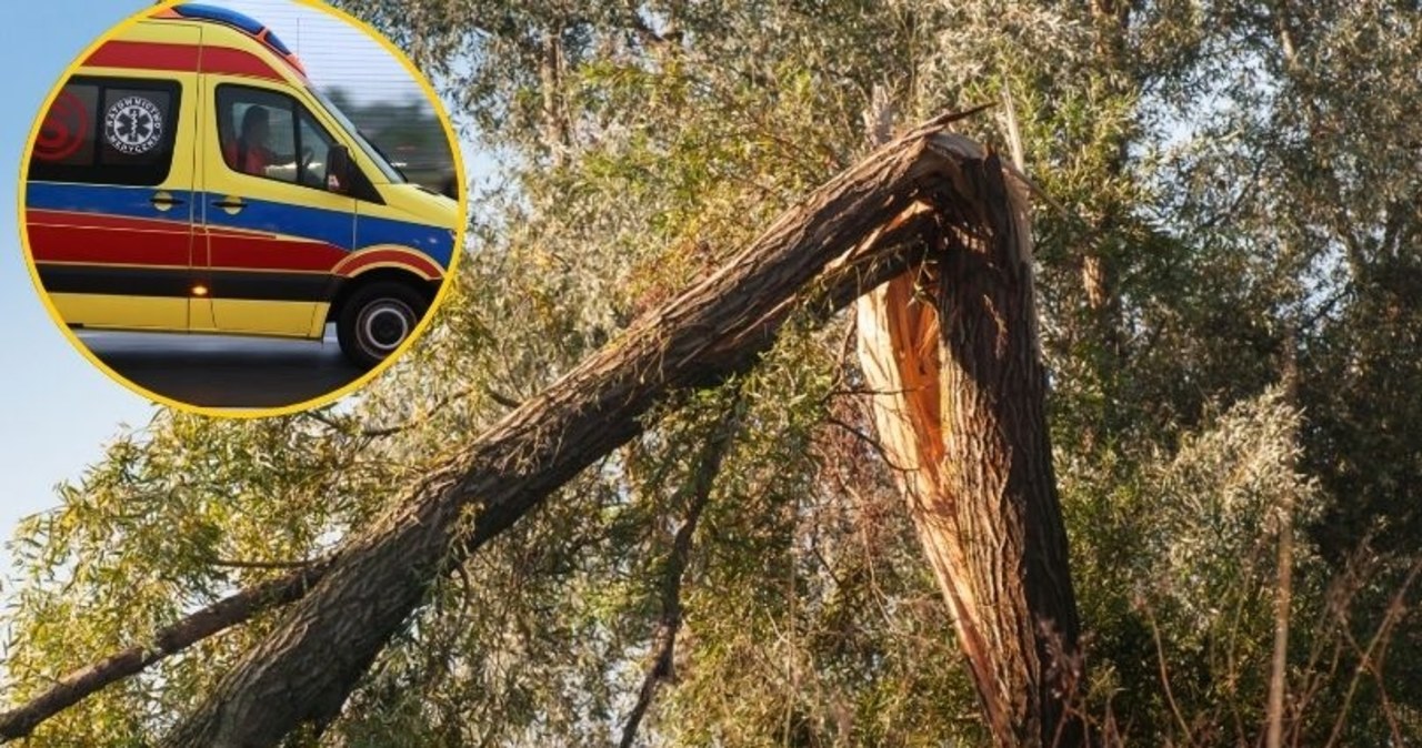 Gałąź spadła na dwie dziewczynki w Noc Kupały