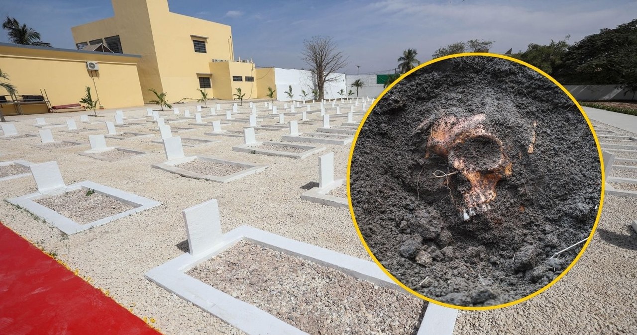 Szokujące znalezisko. Archeolodzy odkrywają kulisy krwawej masakry