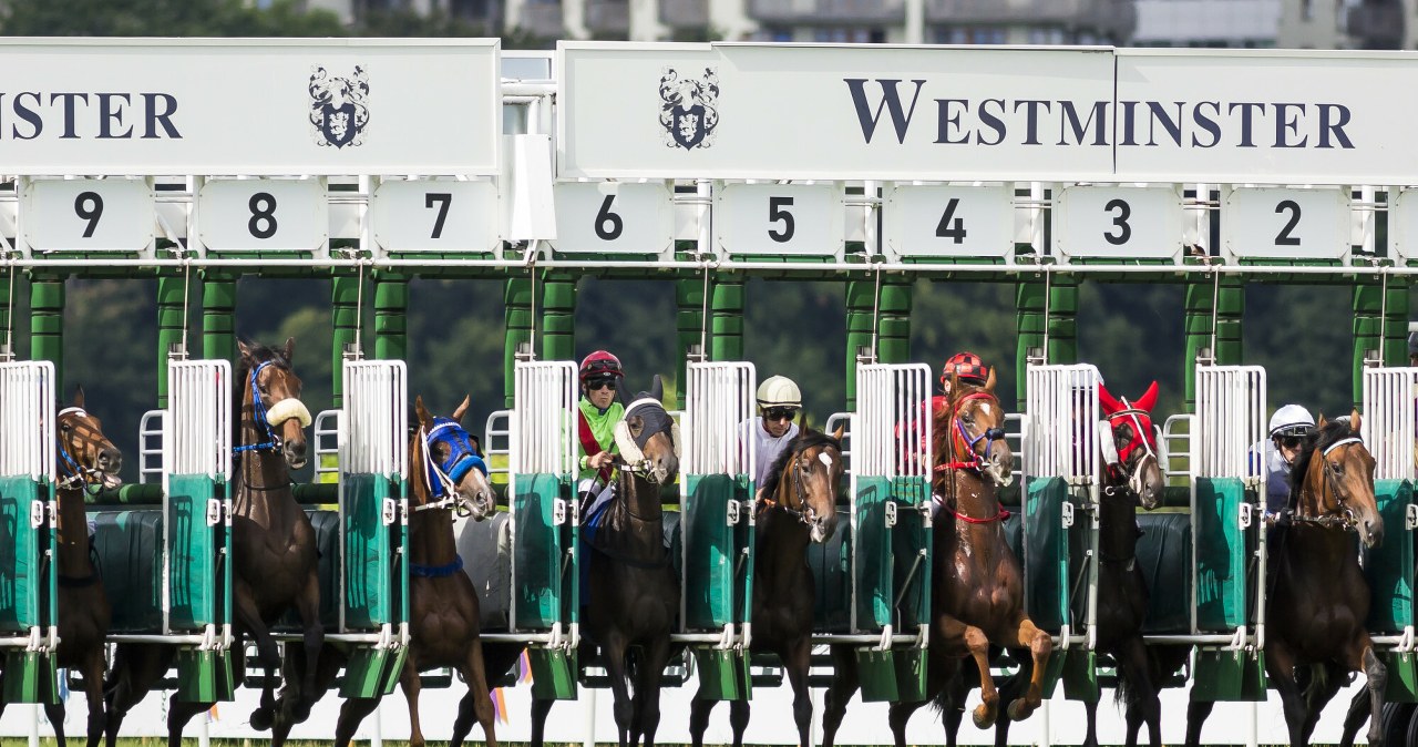 Koń z kontuzją zmuszony do biegu, a później uśpiony. Jest śledztwo