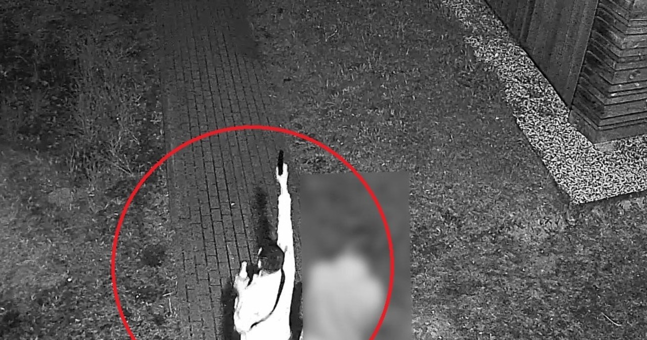 Strzelał na miejskiej plaży. Policja szuka tego mężczyzny