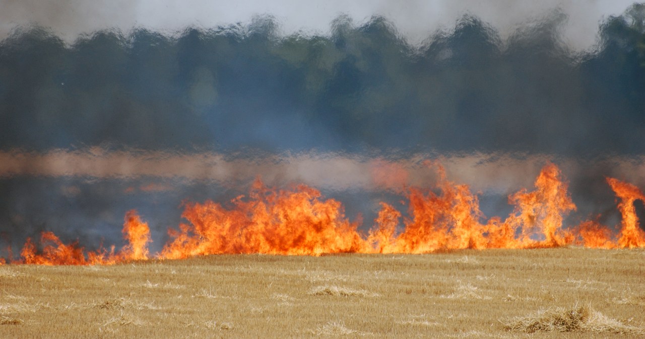 Wypalanie traw może słono kosztować. Jest decyzja prezydenta