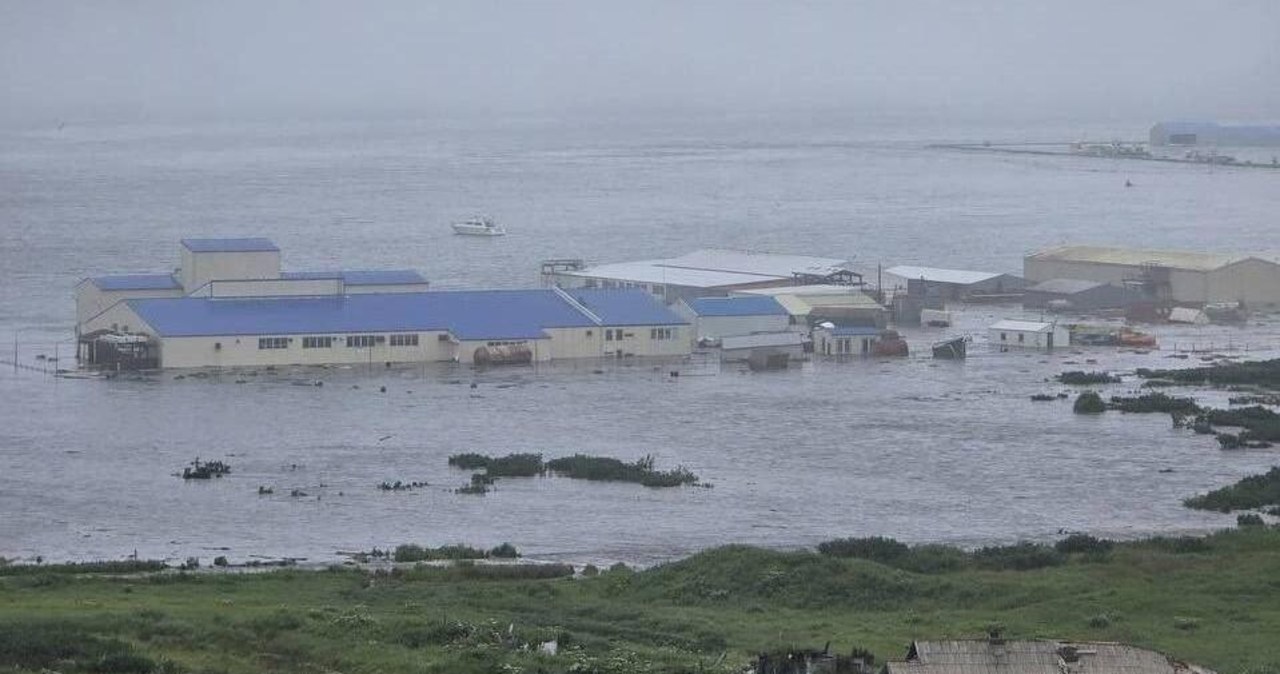 Tsunami po trzęsieniu ziemi na Pacyfiku. Zobacz nagrania