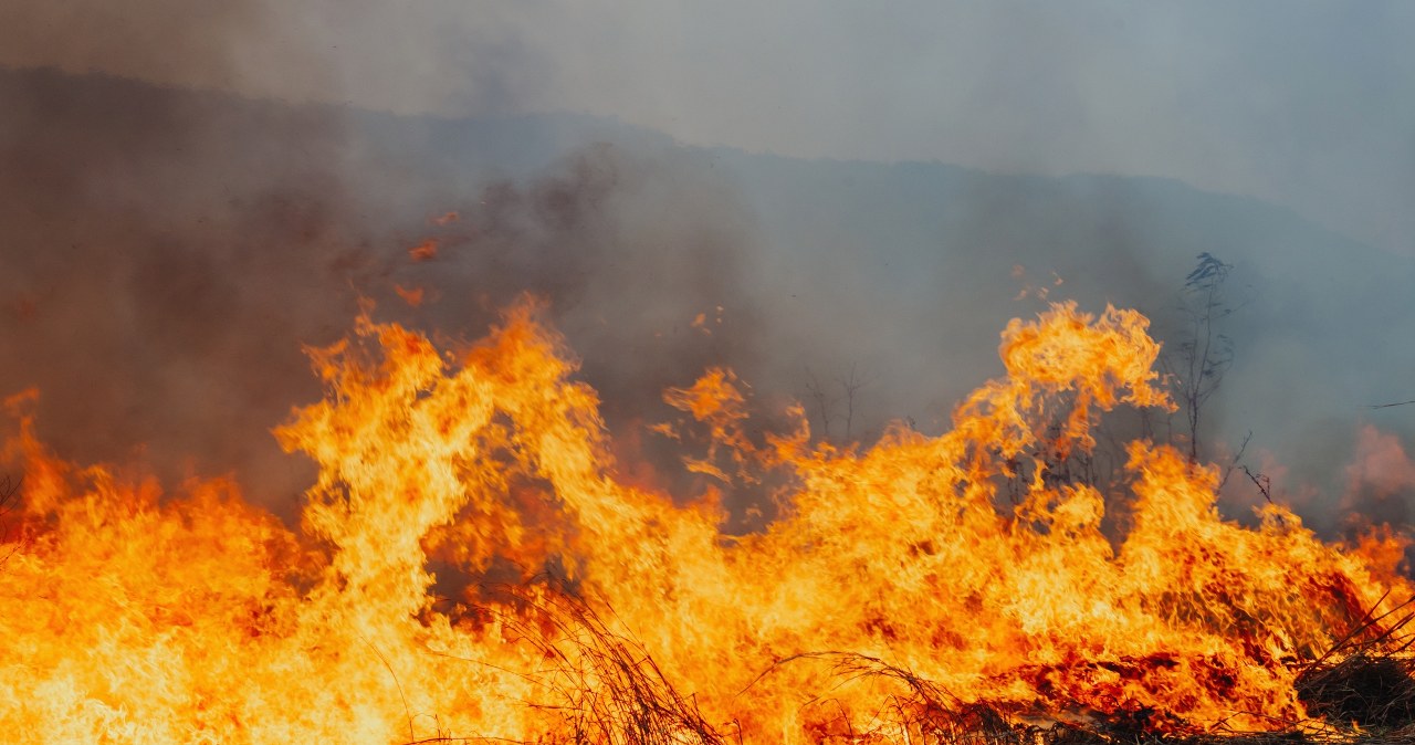 Nawet 30 tys. zł grzywny. Przepisy zostały zaostrzone