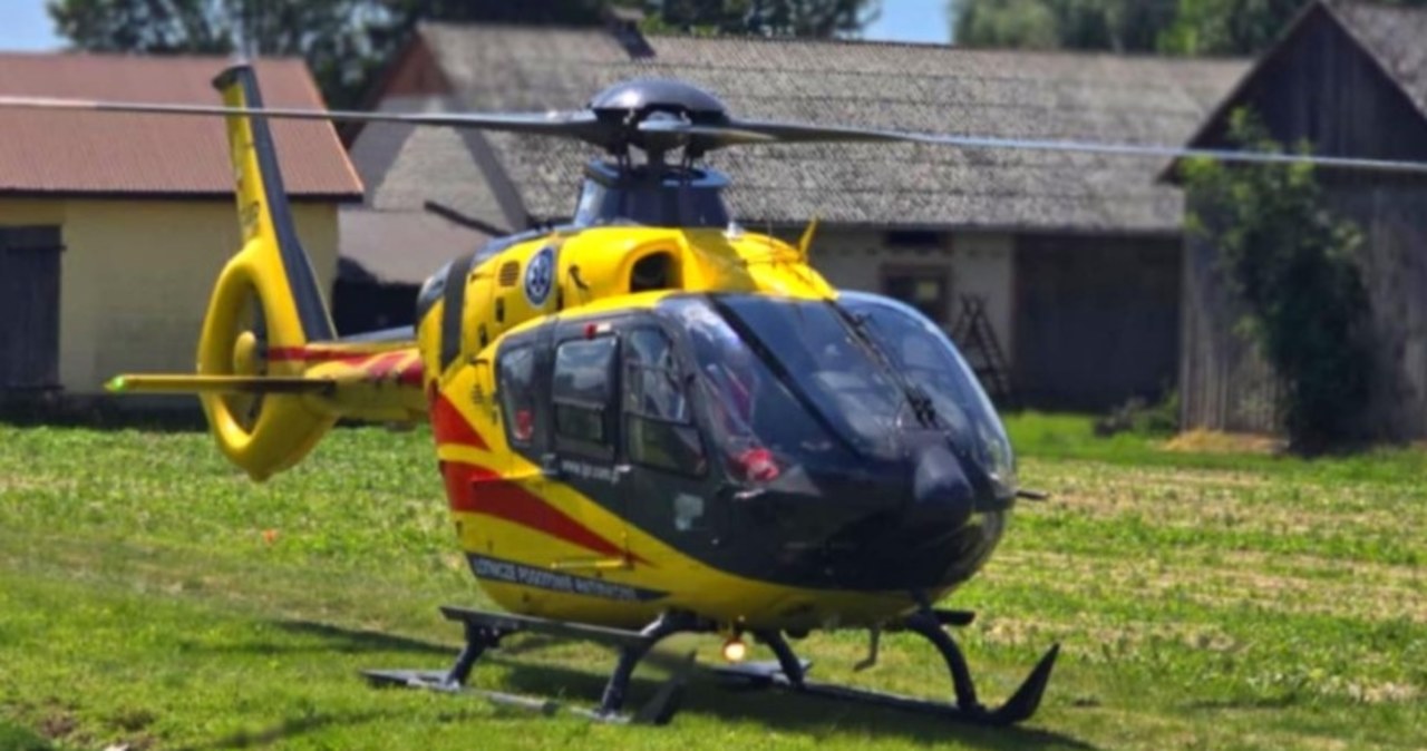 Czterolatka pogryziona przez psa. "Częściowo zdjęta skóra głowy"