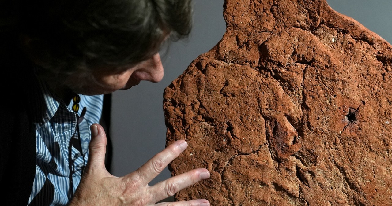 Naukowcy odkryli rzadki egipski artefakt. "Ekscytujące znalezisko"