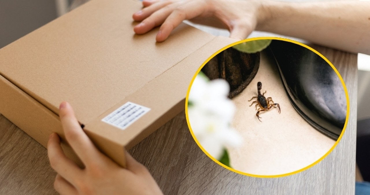 Włoch zamówił paczkę z Chin i dobrze, że nie otworzył jej z drugiej strony