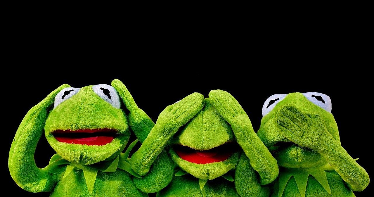 Dlaczego dzieci tak kochają Psi Patrol? O fenomenie serialu i jego bohaterów