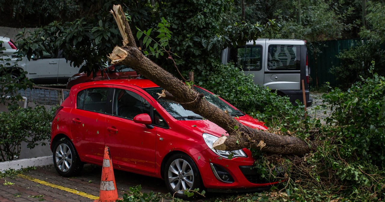 Nadciągają gwałtowne burze z gradem. Sprawdź, gdzie uderzą najmocniej