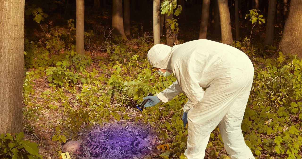 Wędkarz znalazł ludzką czaszkę. Policja odkryła kolejne kości