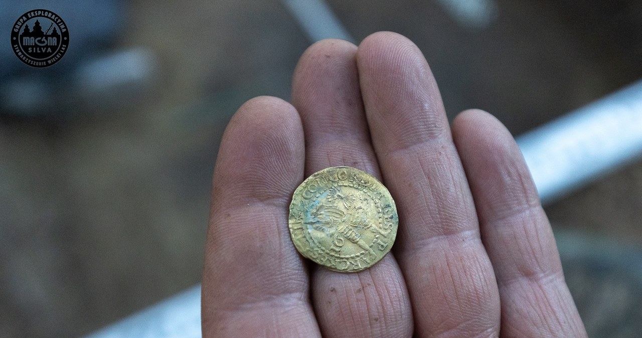 Skarb w Puszczy Knyszyńskiej. To monety z XVII wieku