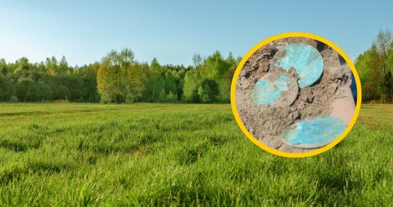 Rolnik znalazł skarb wart fortunę. Niezwykłe odkrycie na Warmii i Mazurach