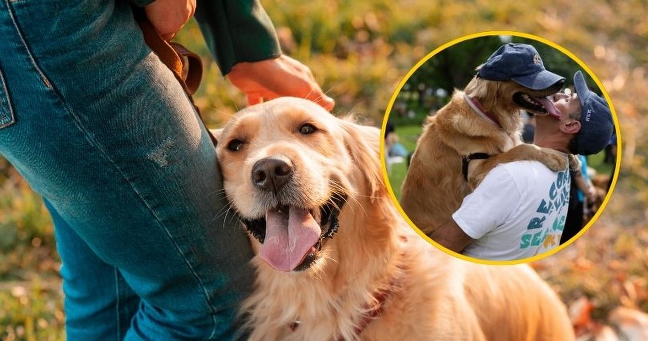 Rekord świata pobity. Tysiące golden retrieverów zebrały się w jednym parku