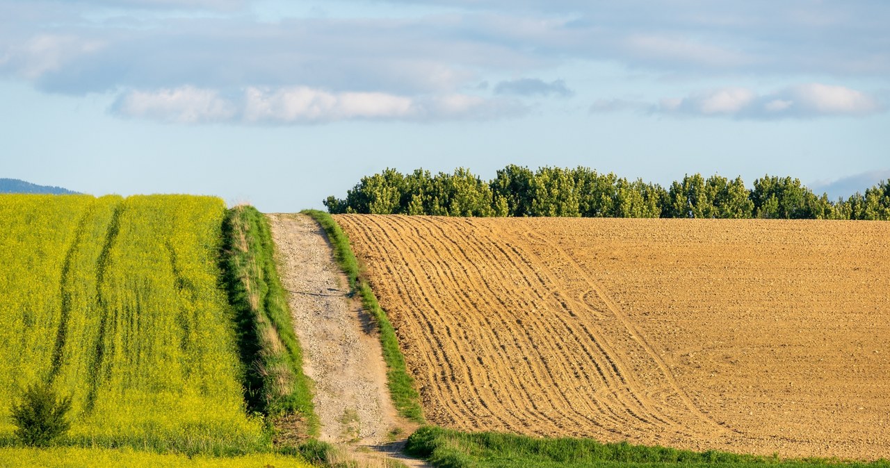 Państwowa ziemia zablokowana na 10 lat. Nowy projekt ustawy już gotowy