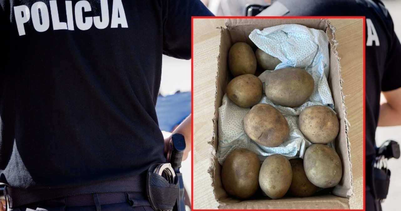 Zamówiła telefon, dostała ziemniaki owinięte w ręcznik papierowy