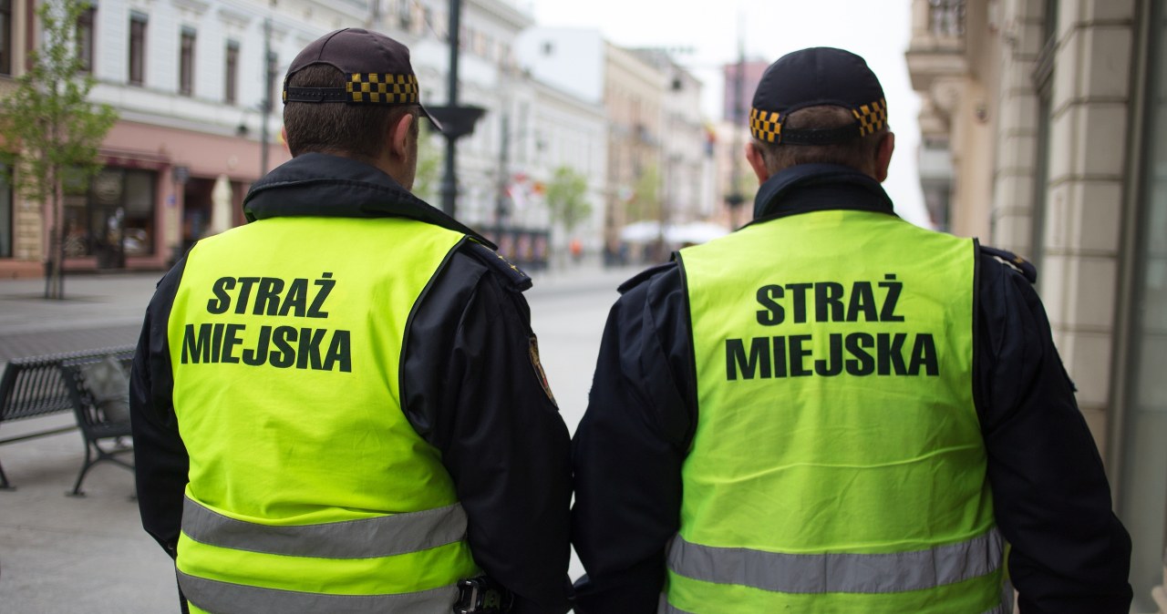 Ruszyły kontrole, kara to nawet 5 tys. zł. Co sprawdza straż miejska?