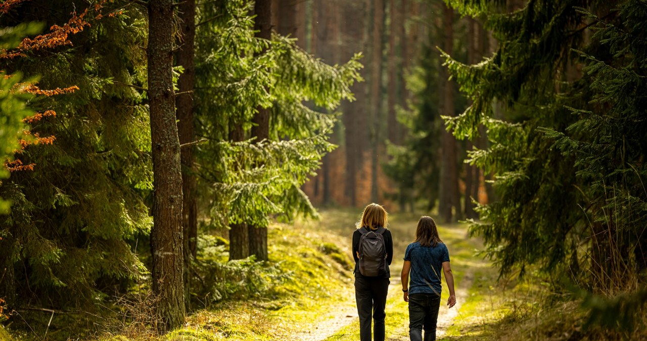 Województwo podlaskie inwestuje w przyrodę. Powstaną nowe rezerwaty