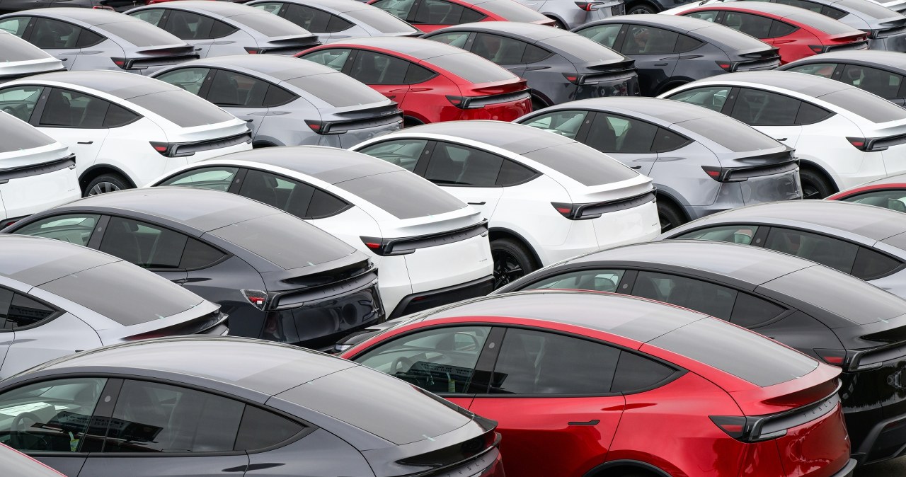 Elon Musk odleciał. Tesla nakłada na klientów gigantyczną karę finansową
