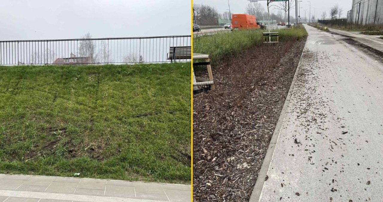 Warszawski park zdewastowany przez wandali