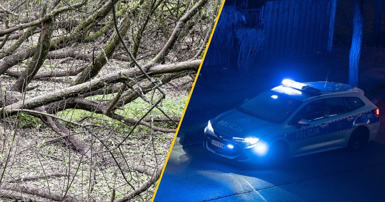 Spał w lesie przykryty gałęziami. Okazało się, że jest na bakier z prawem