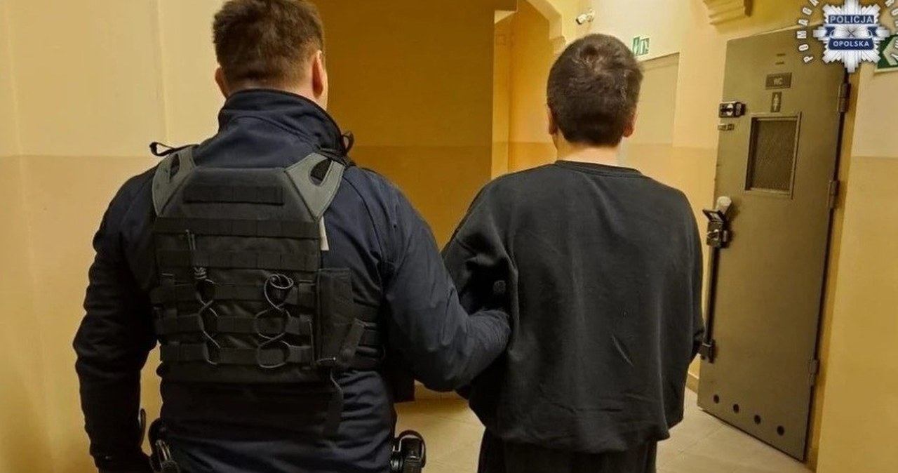 Zadał matce i jej partnerowi kilkadziesiąt śmiertelnych ciosów. Sąd umorzył sprawę