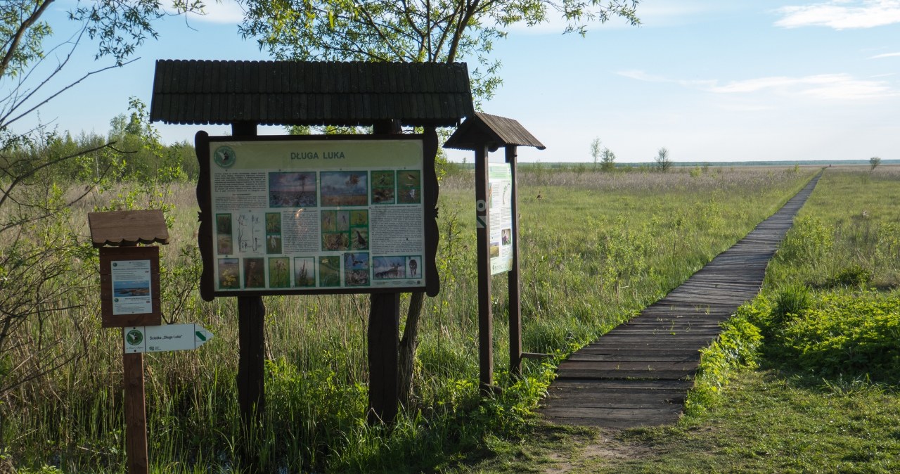 Turyści z Mazowsza utknęli na bagnach. Dramatyczna akcja ratunkowa