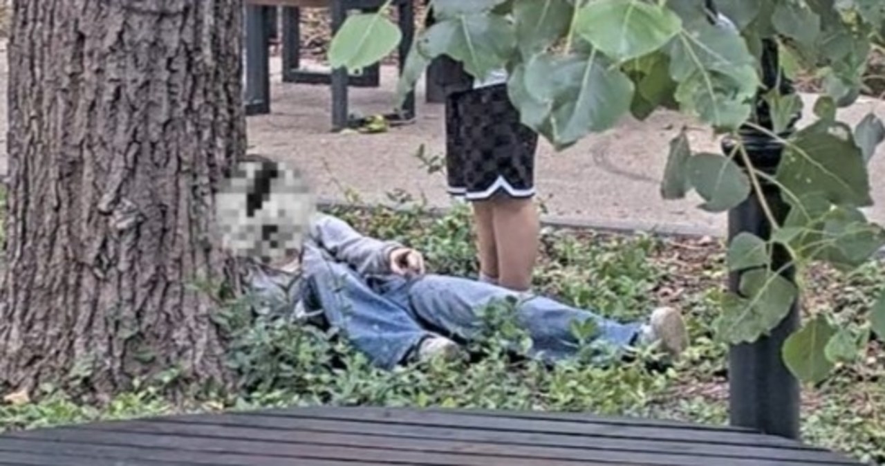 Szokujące sceny w parku. "Zdjęcia nie oddają w pełni dramatyzmu"