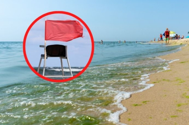 Planujesz urlop nad jeziorem lub morzem? Uważaj na zielony kożuch. Bywa toksyczny