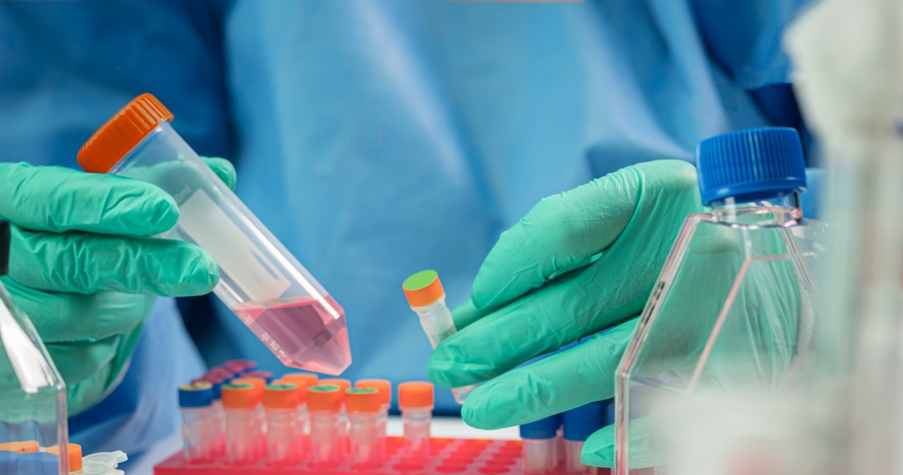 Ebola rozszerza się poza Afrykę? Podejrzenie u pacjenta w Brazylii