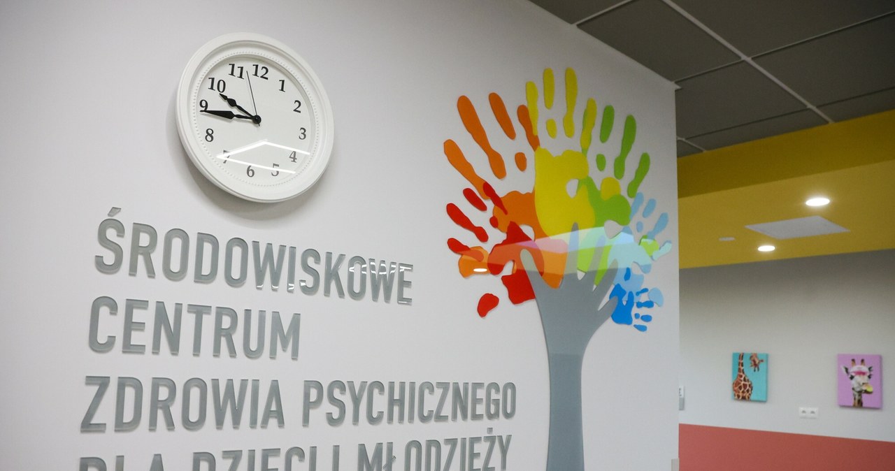 Co dalej z centrami zdrowia psychicznego? Ustalenia RMF FM