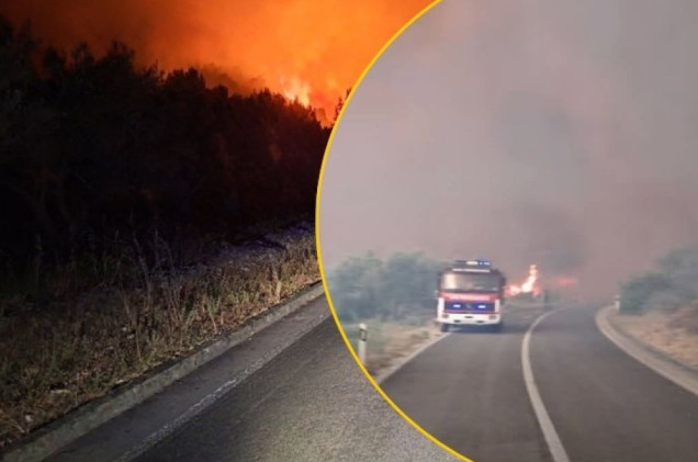 Duży pożar na chorwackiej Korczuli. 200 strażaków i samoloty w akcji