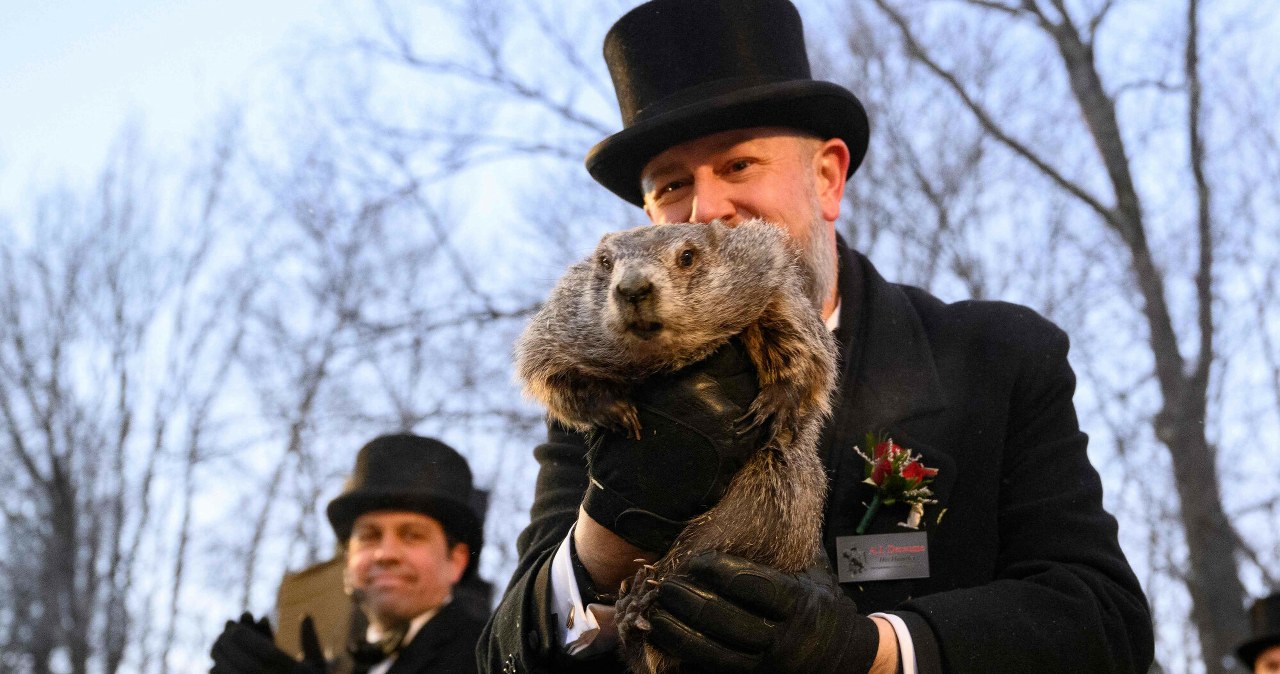 Jaka będzie pogoda? Odpowiedź zna... świstak!