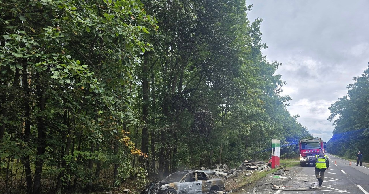 Tragedia na drodze. Auto roztrzaskało się o przystanek, kierowca nie żyje