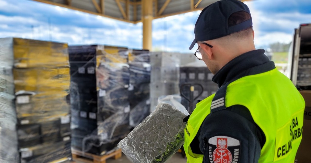 Narkotyki ukryte między butelkami wina. Udaremniony przemyt na polskiej granicy