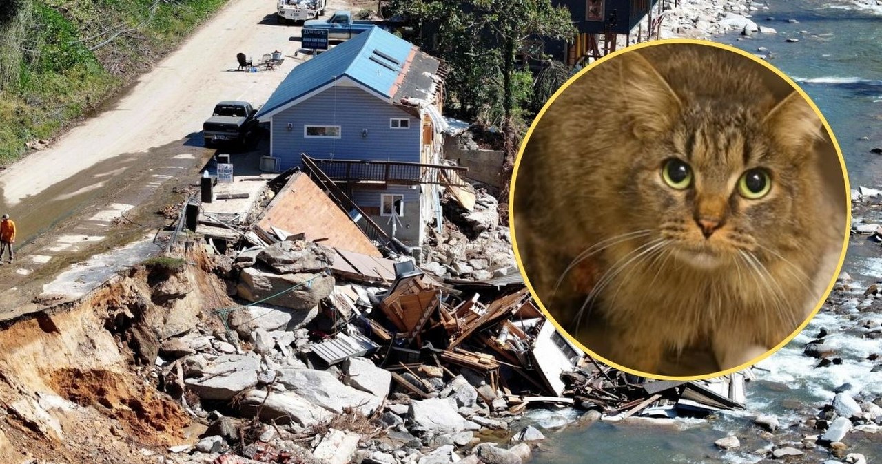 Zaginęła podczas huraganu, wróciła po 443 dniach. "Prawdziwy świąteczny cud"