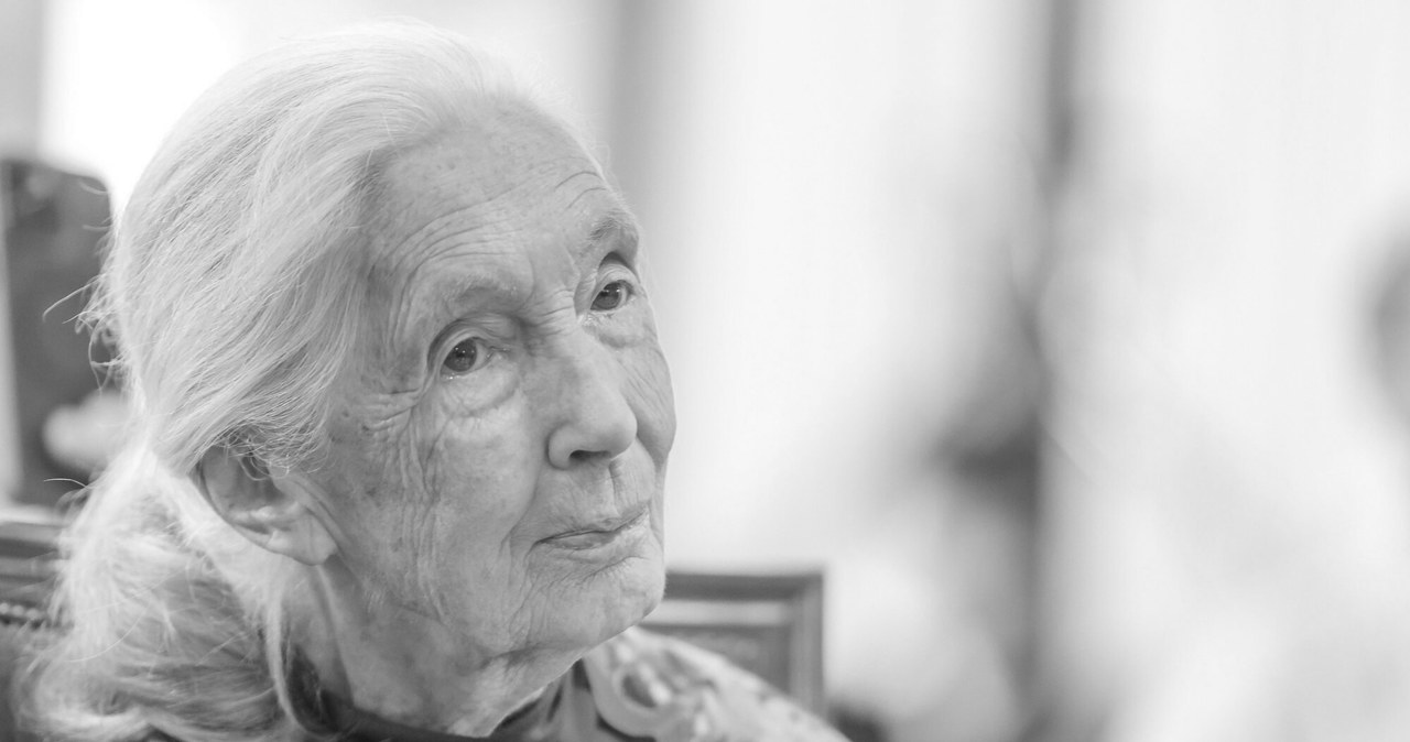 Nie żyje Jane Goodall. Była najwybitniejszą badaczką szympansów