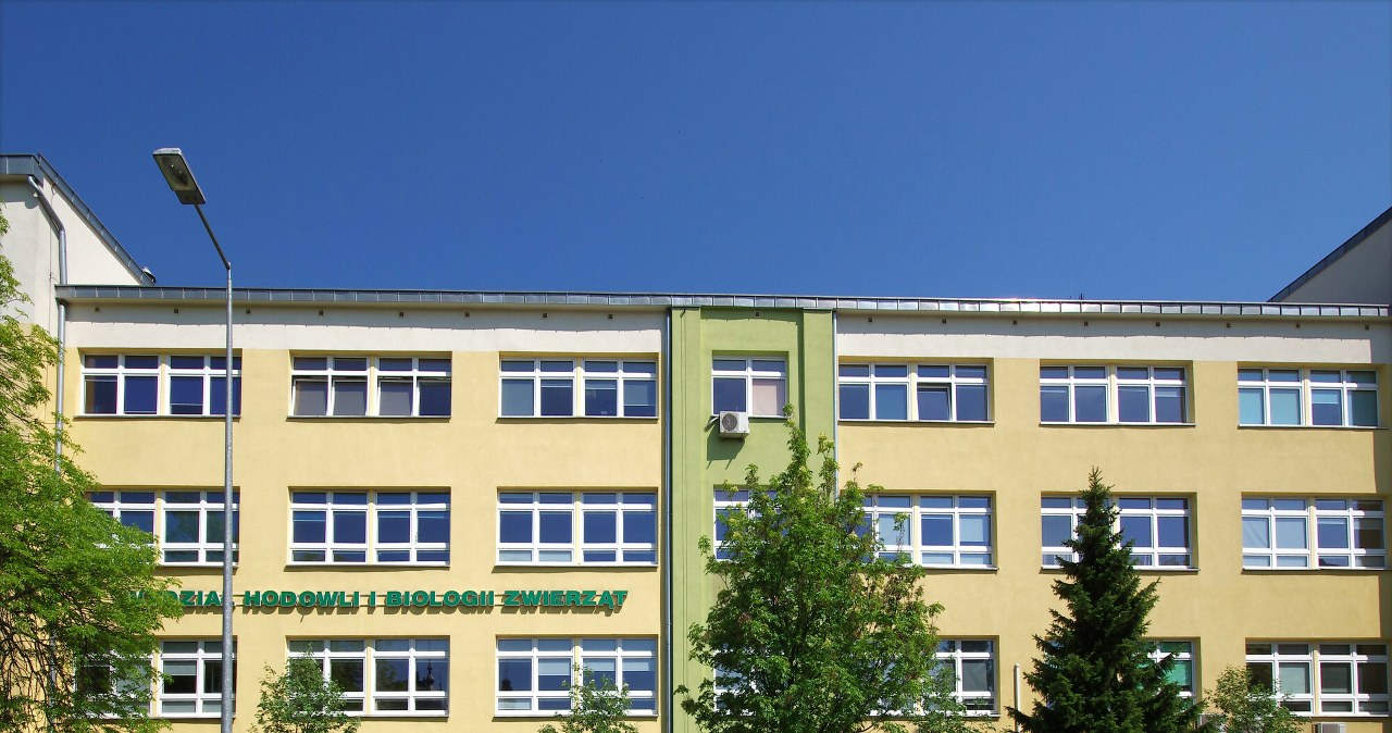 Ewakuacja Politechniki Bydgoskiej. "Nie doszło do wycieku"