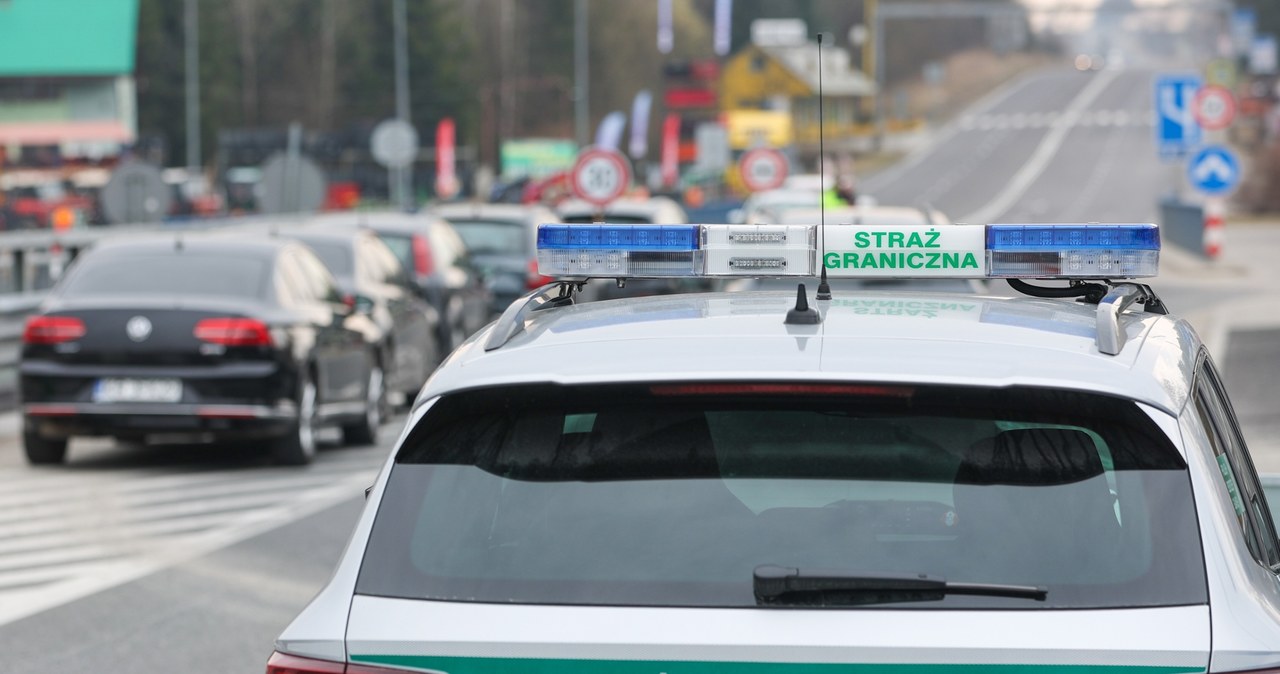 Zwiększone kontrole graniczne w związku z pryszczycą. Jaka sytuacja jest w Niemczech?