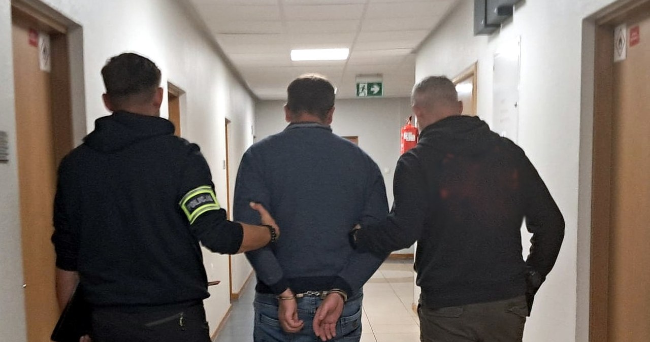 Nowy sposób oszustów - "na krowy mleczne". Ludzie stracili ponad 8 mln złotych