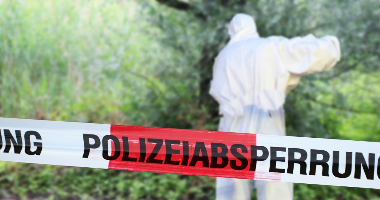 Martwa kobieta przy ławce, zabite dziecko w zaroślach. Nikt nie wie, kim są