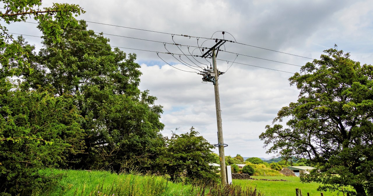Tragedia podczas przycinania drzew. Pracownik dotknął linii energetycznych