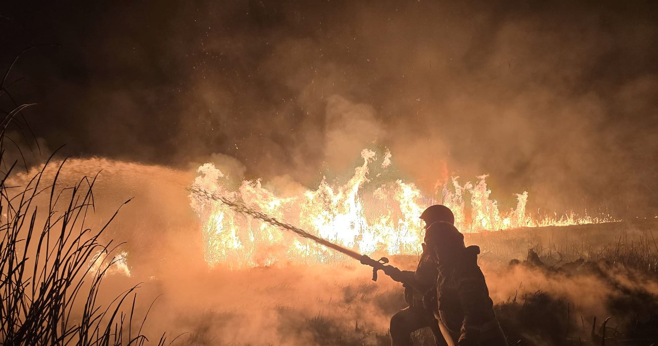 Dramatyczny weekend na Podkarpaciu. Ponad 200 pożarów traw