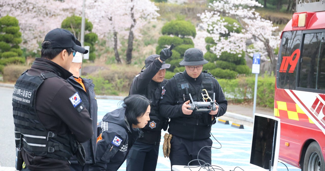 Wilk uciekł z zoo i krąży po mieście. Zbiega szukają setki osób