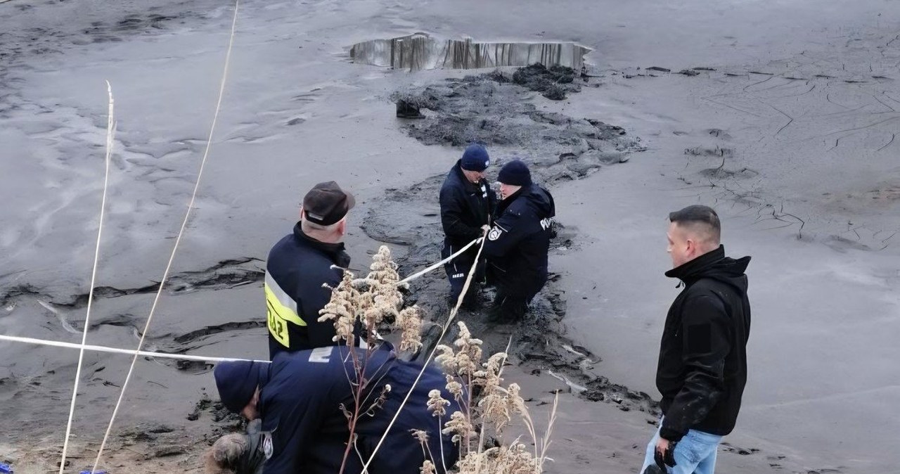 Zaginiona 73-latka odnaleziona w stawie. Trafiła do szpitala