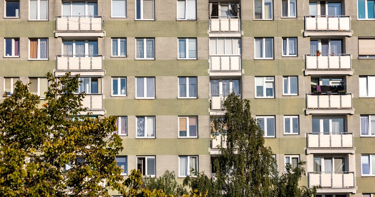 Coraz więcej singli, coraz mniej rodzin. Duża zmiana na mapie społecznej Polski