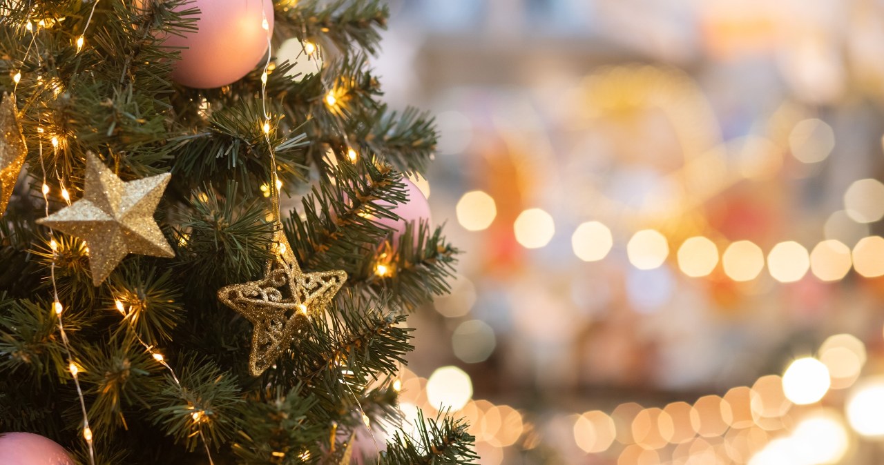 Co zrobić z choinką po świętach? Brytyjczycy wpadli na pewien pomysł