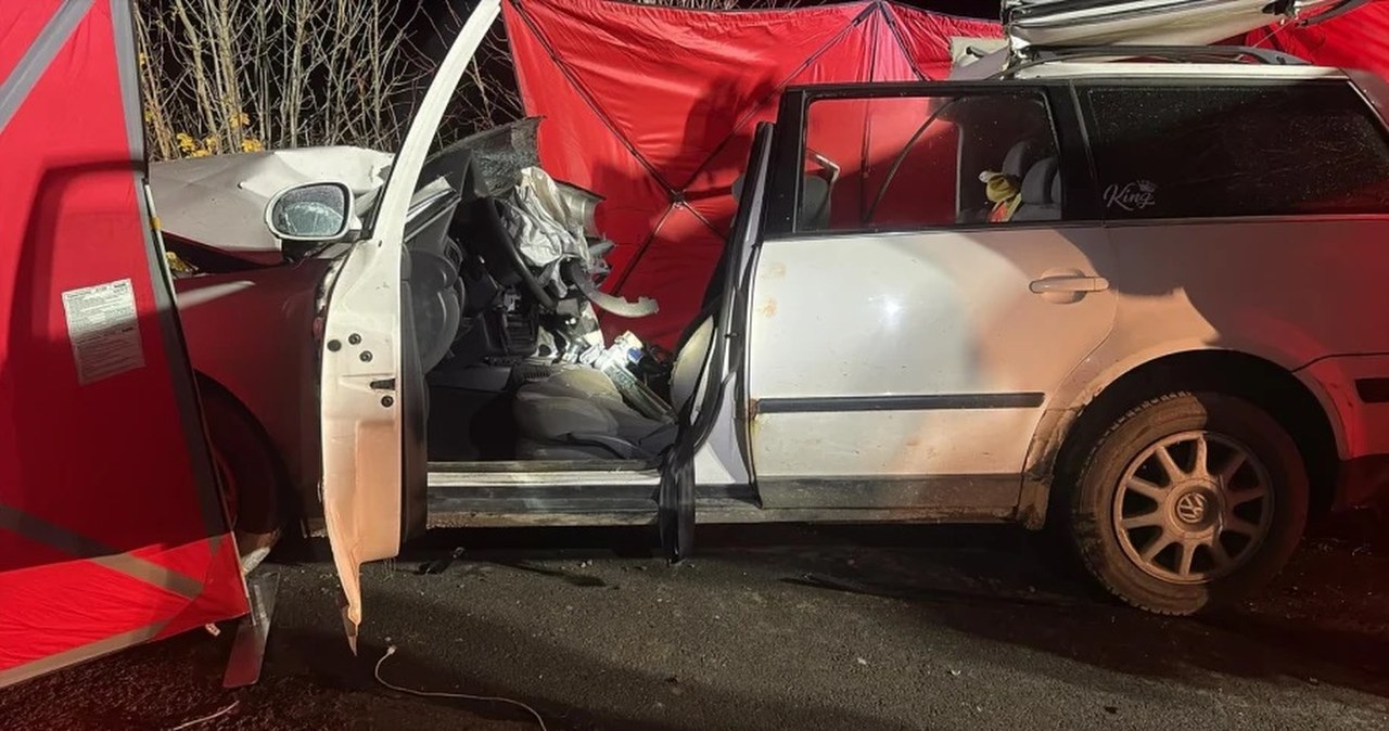 Tragiczny wypadek w Kurowie. Zginęły dwie nastolatki, zarzuty dla 17-letniego kierowcy