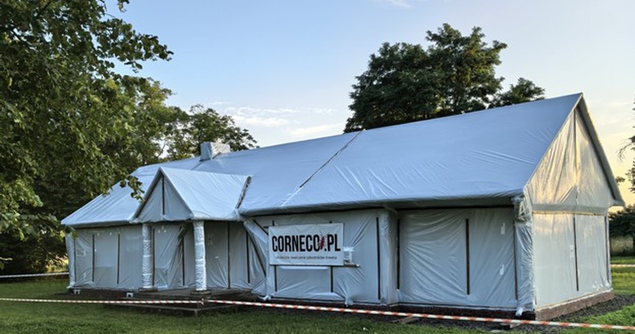 Fumigacja – Skuteczna metoda zwalczania szkodników drewna